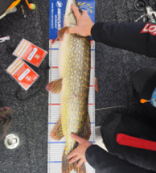 photo prise 52239 par Komor24