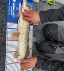 photo prise 52240 par Jules_fgz