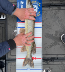 photo prise 52241 par Georges77