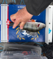 photo prise 52242 par Arnaud