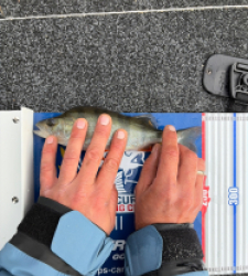 photo prise 52243 par eduard.ayuso