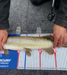 photo prise 52244 par Jules_fgz