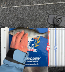 photo prise 52245 par eduard.ayuso