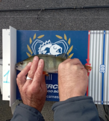 photo prise 52247 par David 174