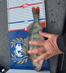 photo prise 52248 par Romain 