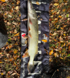 photo prise 52249 par Rimshot12