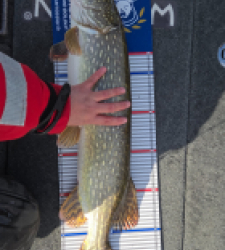 photo prise 52250 par Kevin