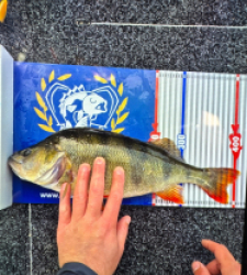 photo prise 52251 par Lorenzo