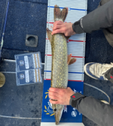 photo prise 52252 par Bigpikelures 