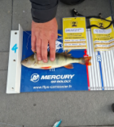 photo prise 52254 par Forca087