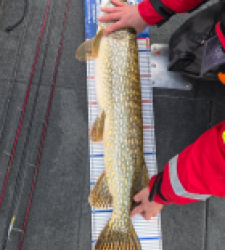 photo prise 52255 par Kevin