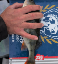 photo prise 52256 par Alex Dudziak Nays