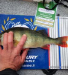 photo prise 52257 par Nico