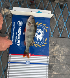 photo prise 52258 par Arnaud