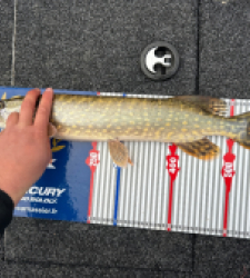 photo prise 52259 par Julo