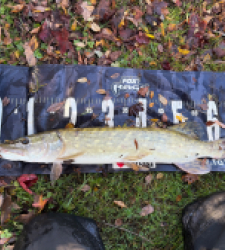 photo prise 52260 par Rimshot12