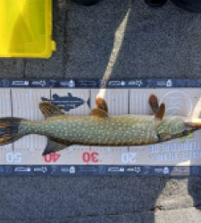 photo prise 52263 par Spinner