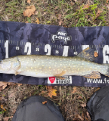 photo prise 52267 par Rimshot12