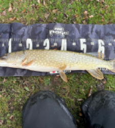 photo prise 52268 par Rimshot12