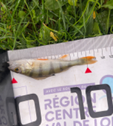 photo prise 52270 par maginala