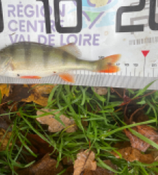 photo prise 52271 par maginala