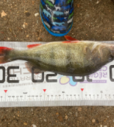 photo prise 52272 par bounlapk