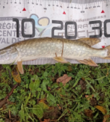 photo prise 52273 par antho.bonin