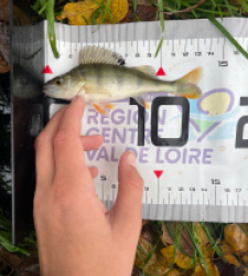 photo prise 52274 par Tomguerin