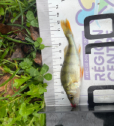 photo prise 52275 par Tomguerin