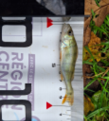 photo prise 52276 par chdadvisard