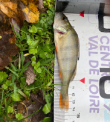 photo prise 52277 par maginala