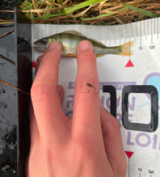 photo prise 52278 par MatiC02