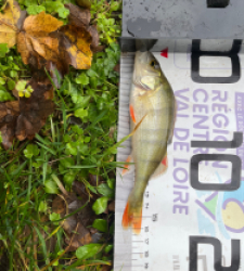 photo prise 52279 par maginala