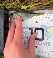 photo prise 52280 par MatiC02