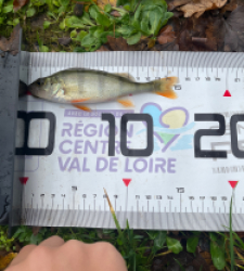 photo prise 52281 par Tomguerin