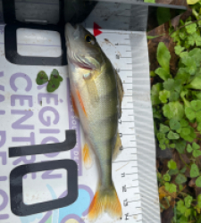 photo prise 52282 par Tomguerin