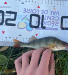 photo prise 52283 par sachaduverger590