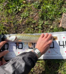 photo prise 52284 par tomkeo2008