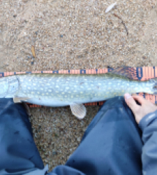 photo prise 52285 par Olivier M