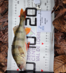 photo prise 52286 par 