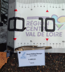 photo prise 52287 par AaronPike