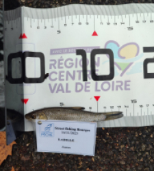 photo prise 52290 par AaronPike