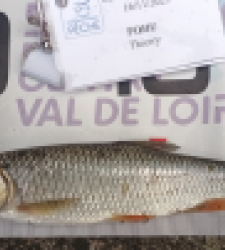 photo prise 52291 par Thythy