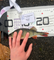 photo prise 52293 par 