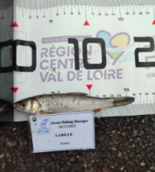 photo prise 52295 par AaronPike