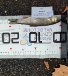 photo prise 52297 par AaronPike