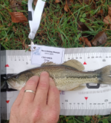 photo prise 52298 par 