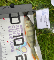 photo prise 52299 par Anthony D