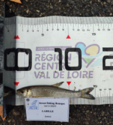 photo prise 52300 par AaronPike