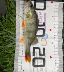 photo prise 52301 par matheochevrier1410